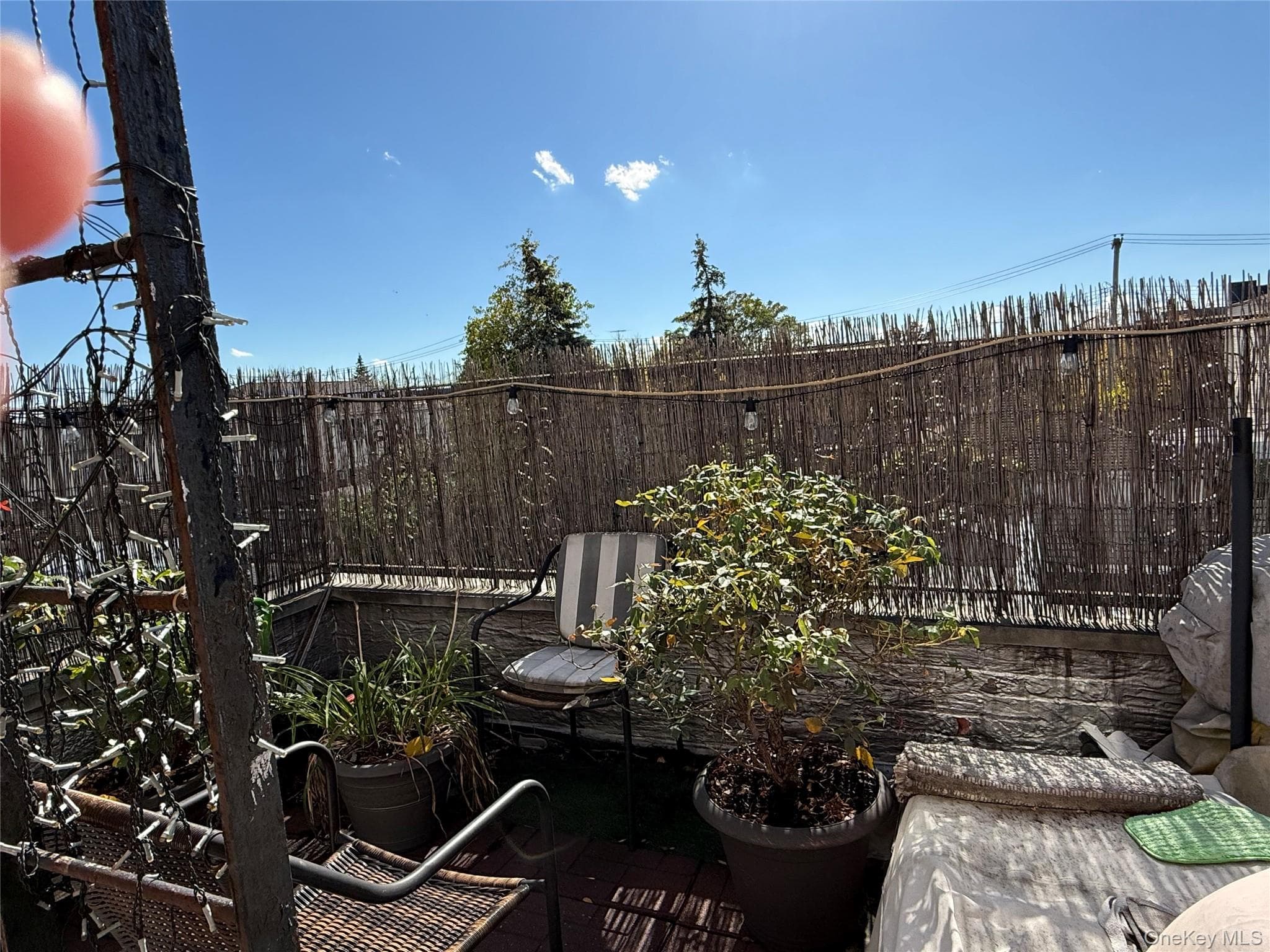 90-28 Pitkin Avenue Unit: 1,2 and 3 thumbnail 6