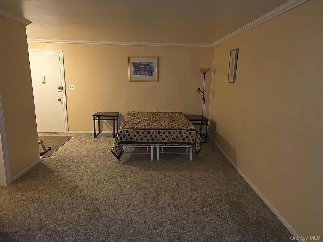 1275 E 51st 51 Street Unit: 4M thumbnail 7