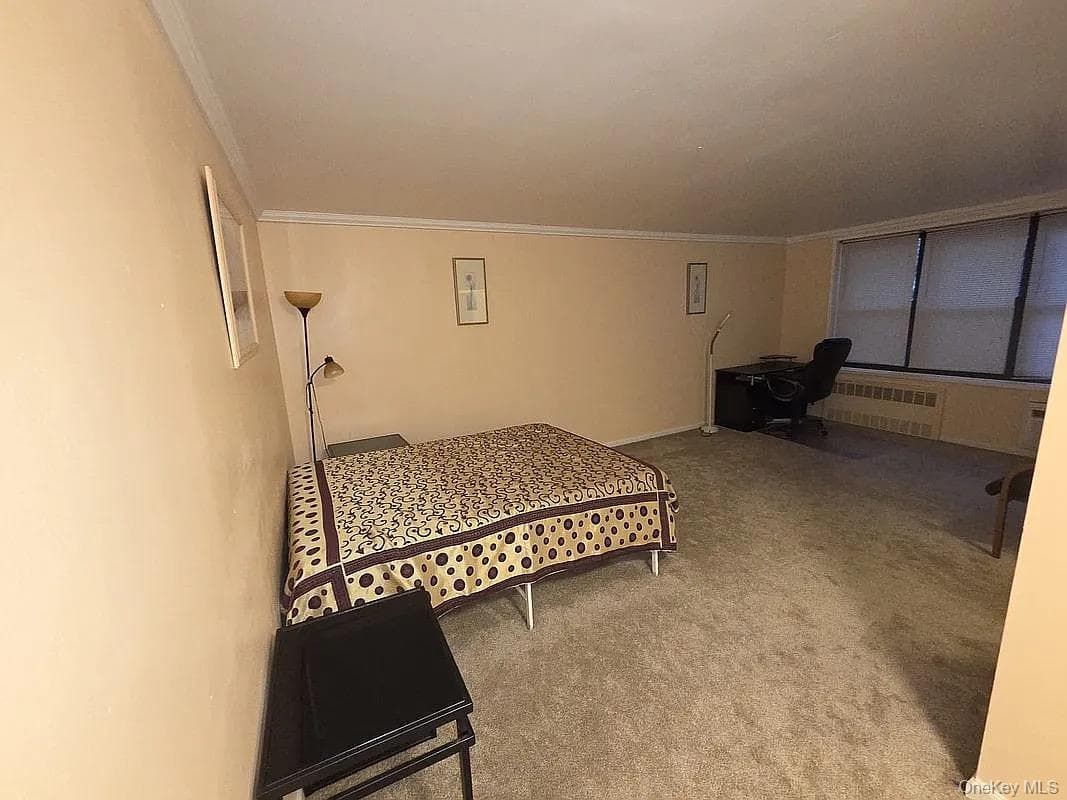 1275 E 51st 51 Street Unit: 4M thumbnail 2