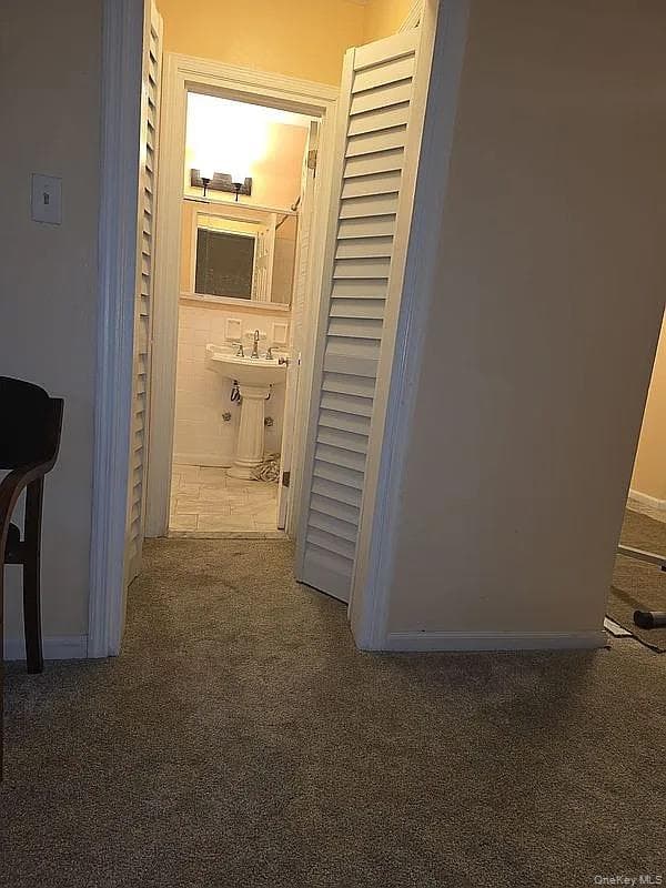1275 E 51st 51 Street Unit: 4M thumbnail 9