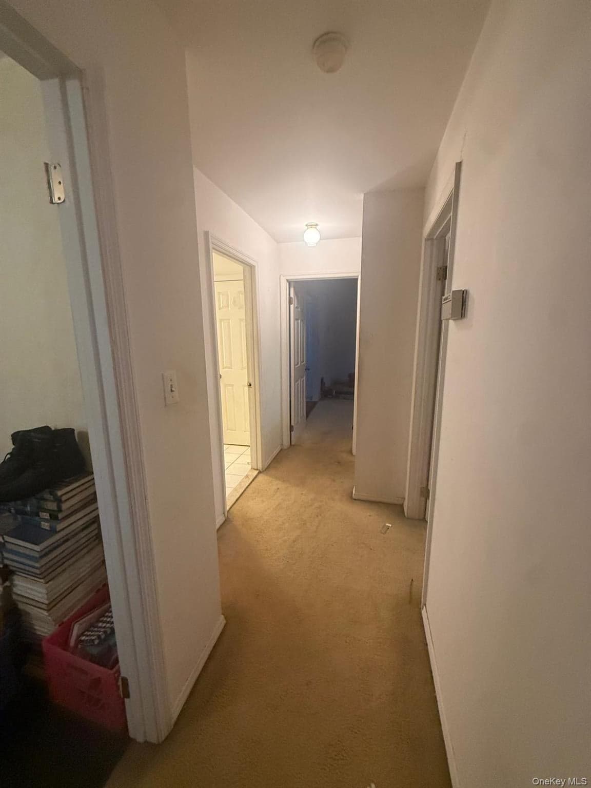 97 Hiawatha Drive thumbnail 9