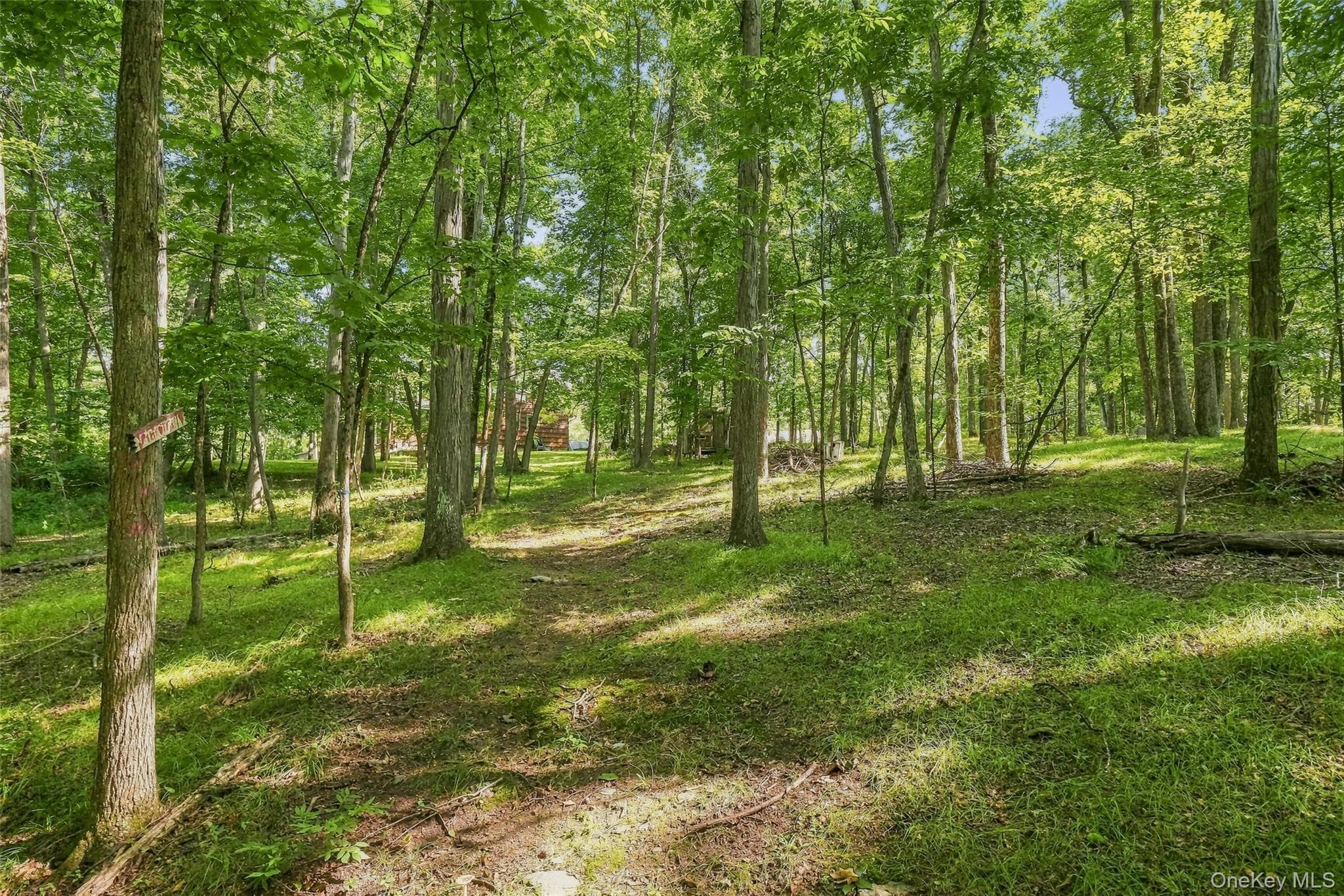 2536 Wingdale Mtn Road thumbnail 30
