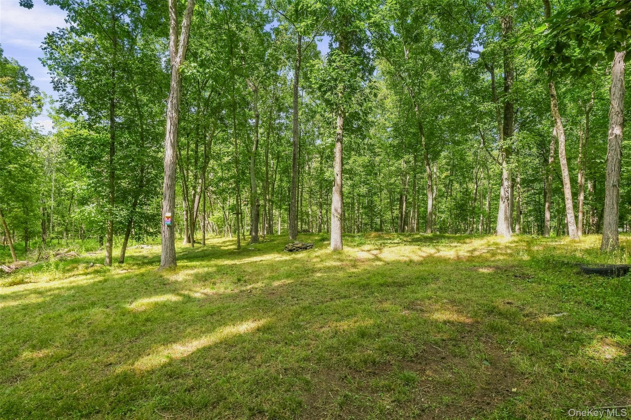 2536 Wingdale Mtn Road thumbnail 33