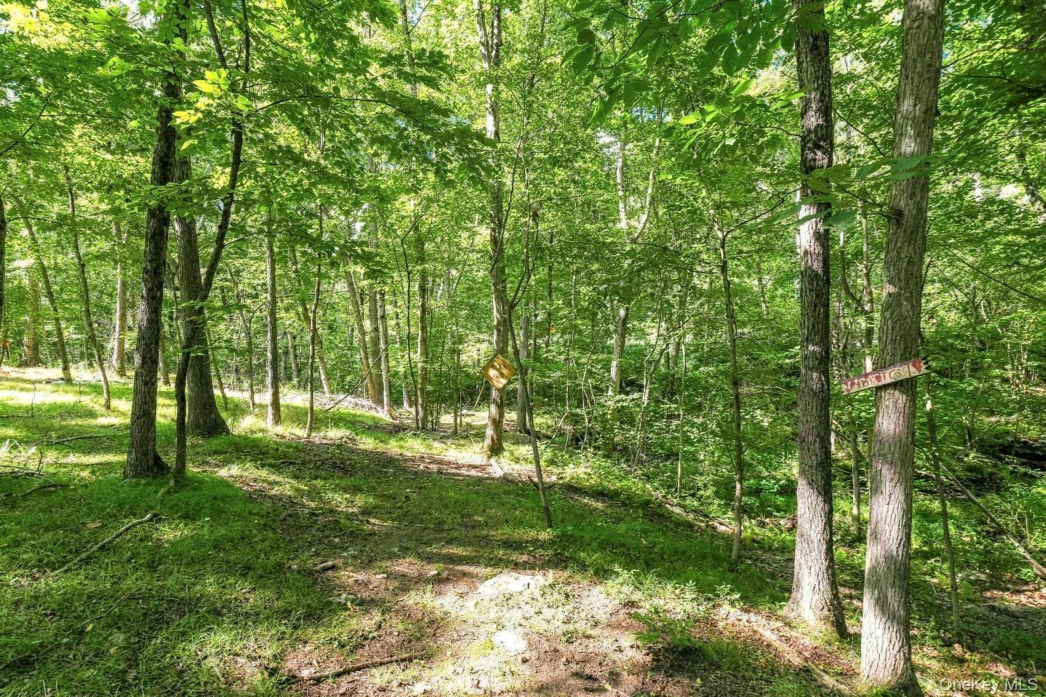 2536 Wingdale Mtn Road thumbnail 29