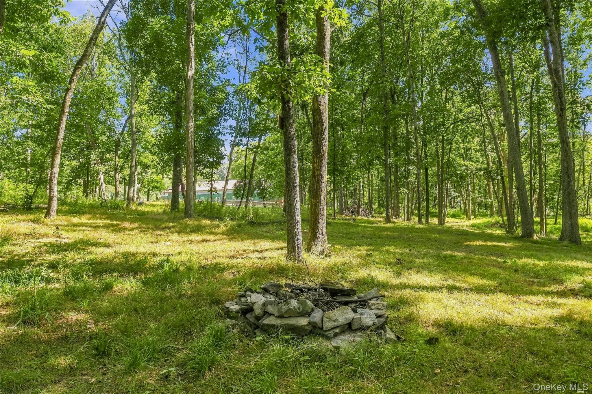 2536 Wingdale Mtn Road thumbnail 35