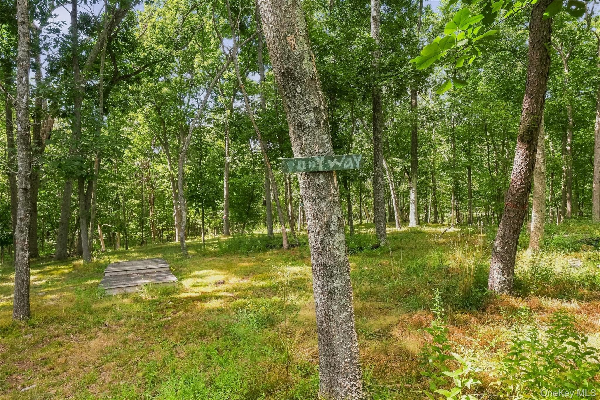 2536 Wingdale Mtn Road thumbnail 28