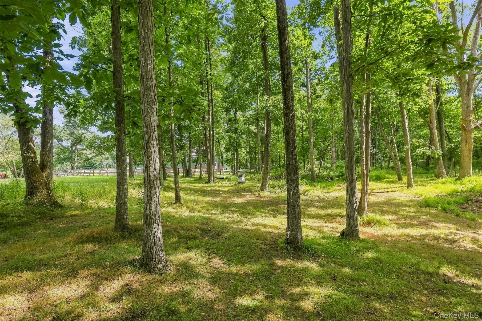 2536 Wingdale Mtn Road thumbnail 32