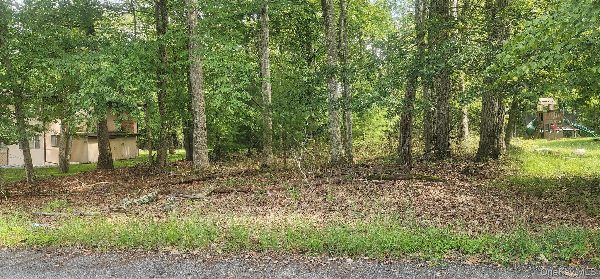 Chelsea Lane, Rock Hill