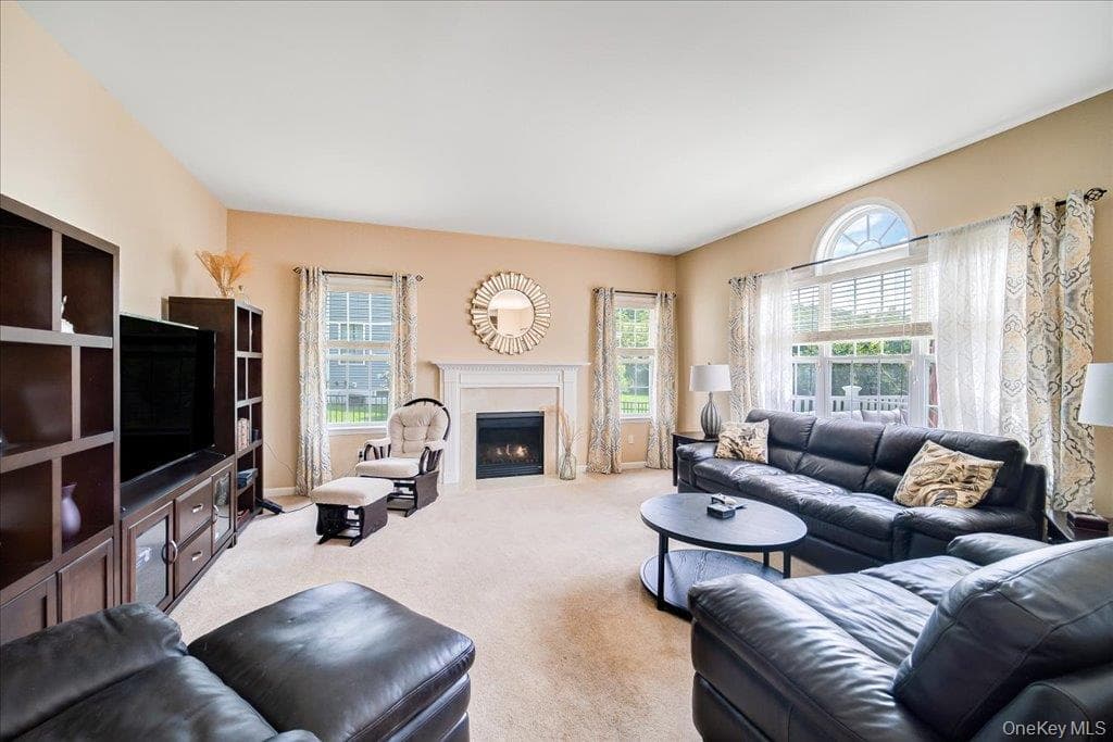 56 Plum Court Drive thumbnail 14