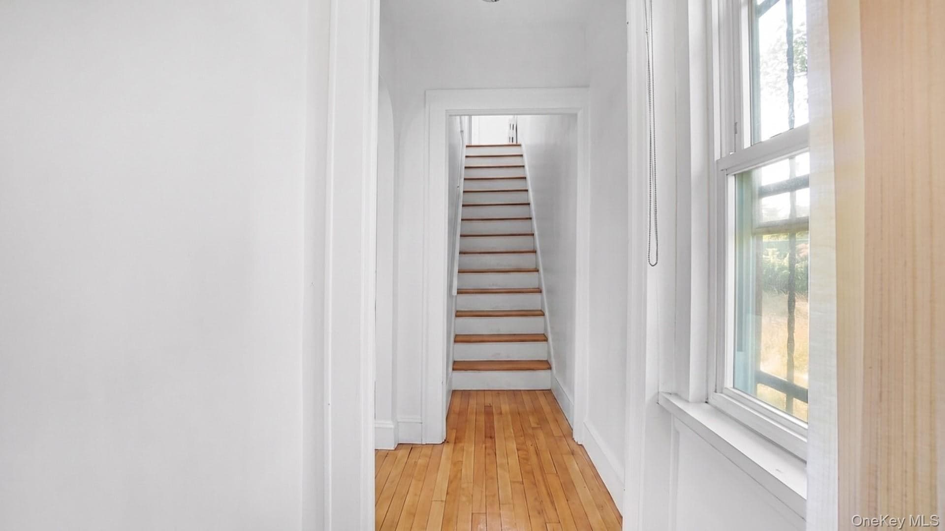 6 Johnson Street thumbnail 11
