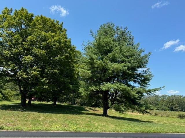 8 Twin Oaks Drive thumbnail 11