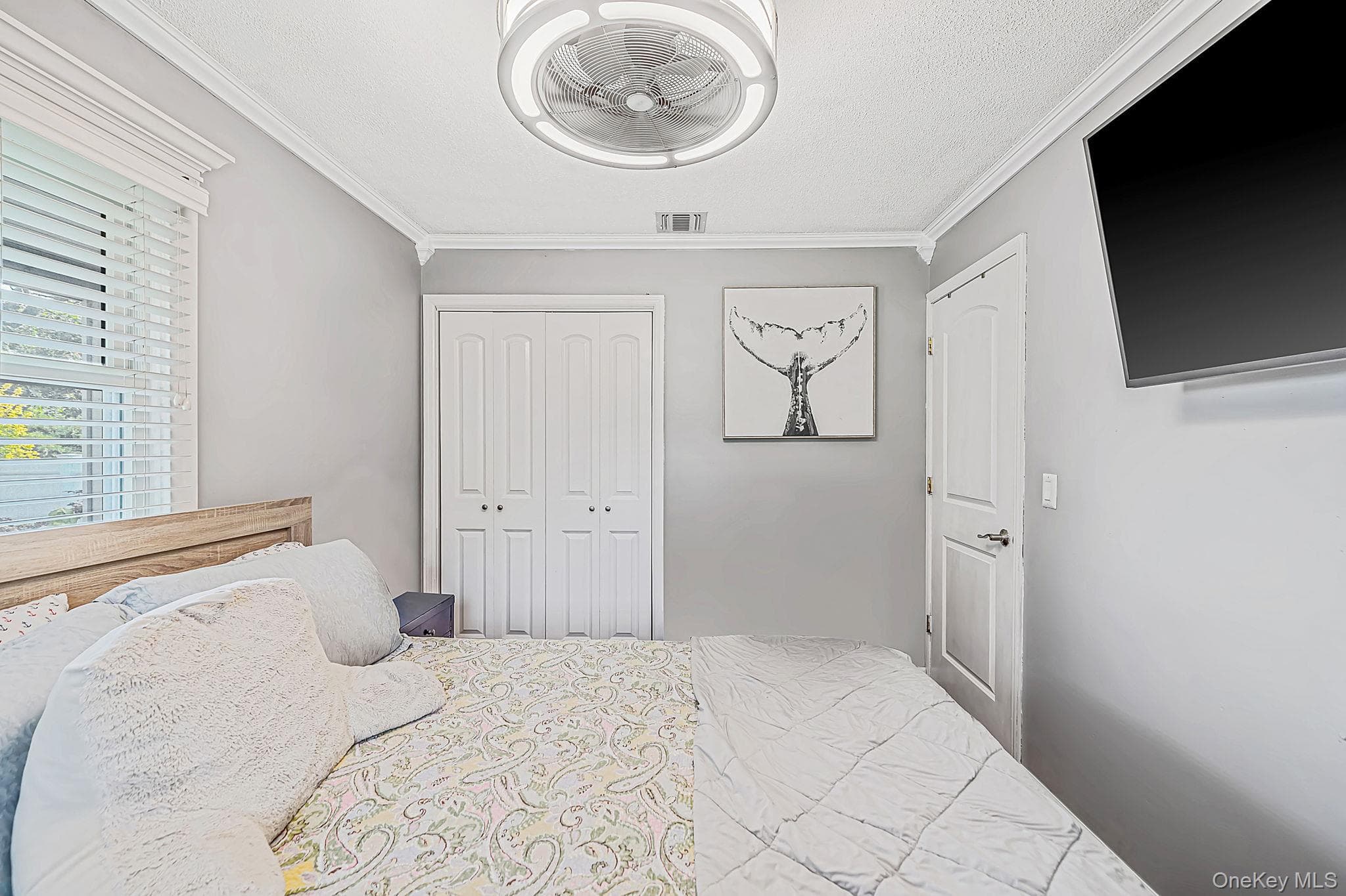 517 Waverly Avenue thumbnail 29