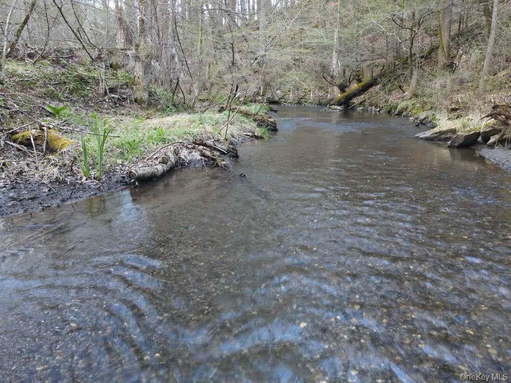 56 Northrup Road thumbnail 10