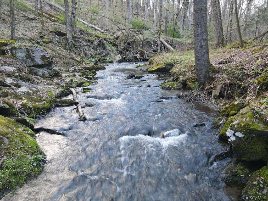 56 Northrup Road thumbnail 11