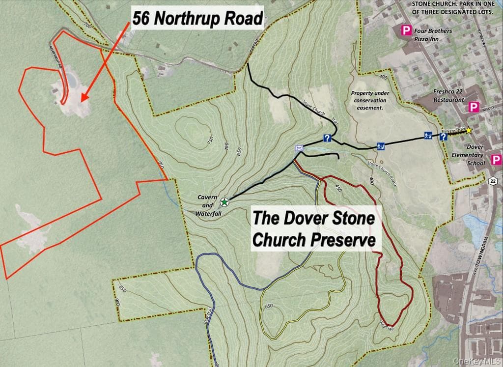 56 Northrup Road thumbnail 43