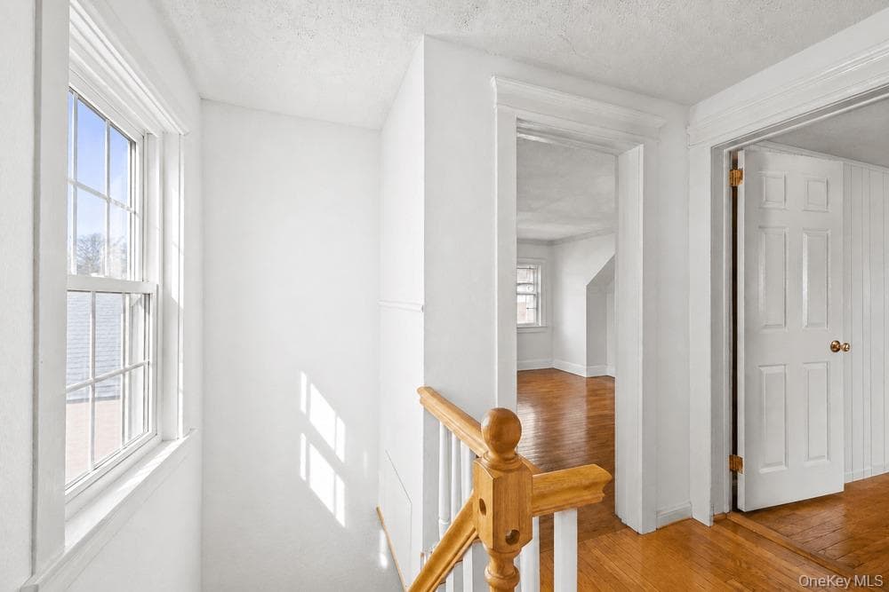 21 Mount Joy Place thumbnail 35