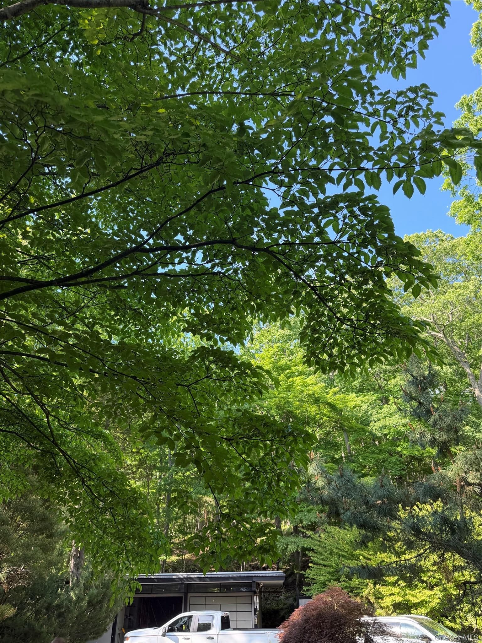 301 Roaring Brook Road thumbnail 4