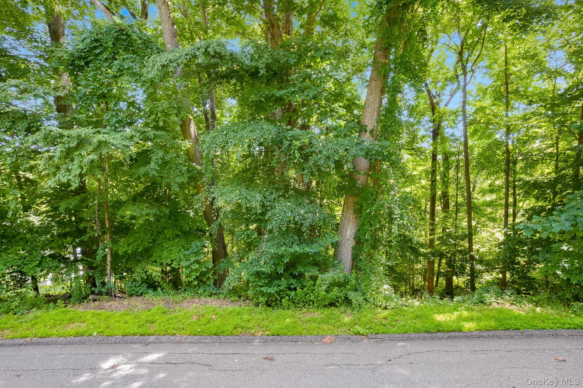 Lot 11 Shamrock Drive thumbnail 2