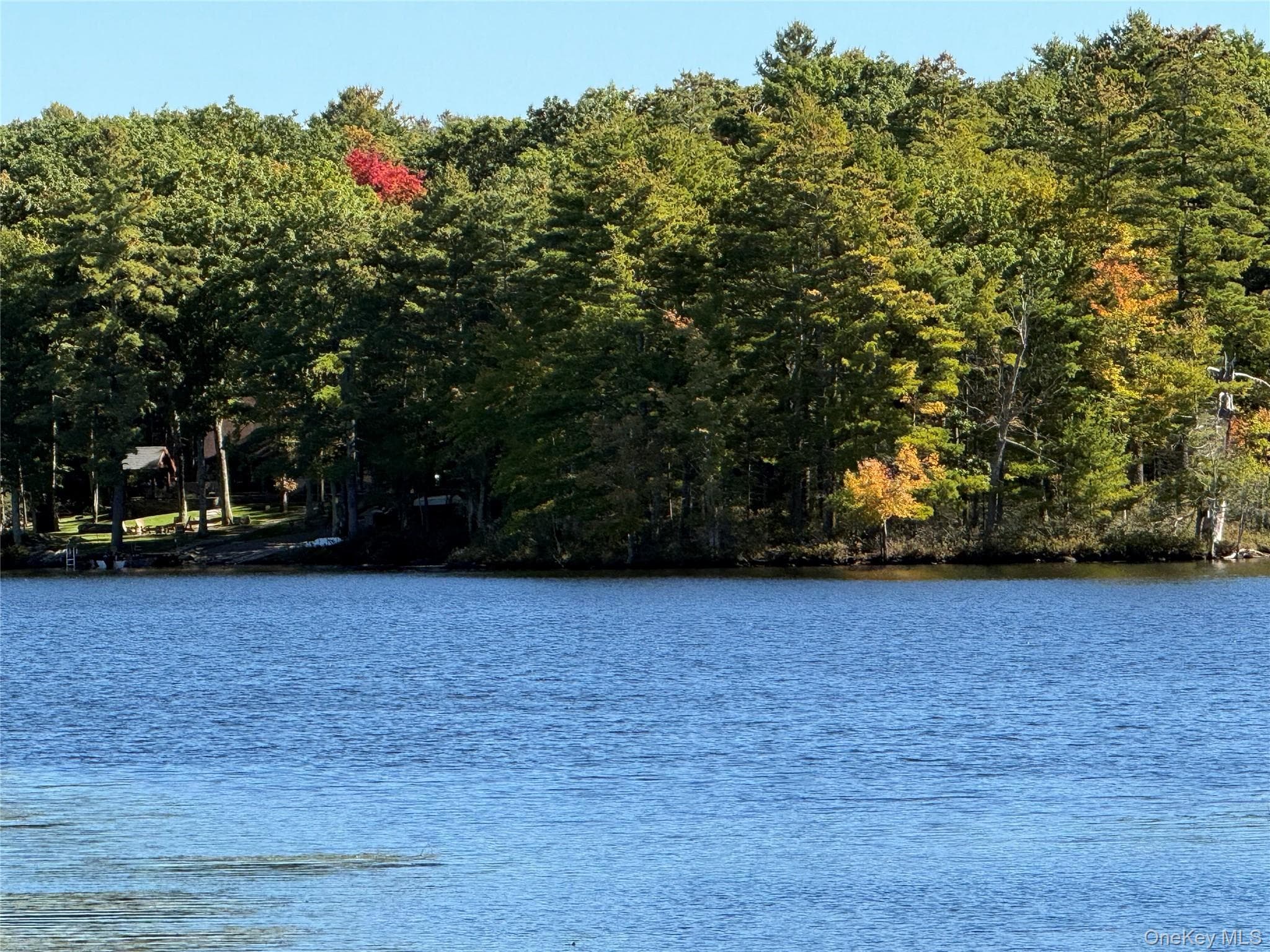 89 Minisink Trail thumbnail 5