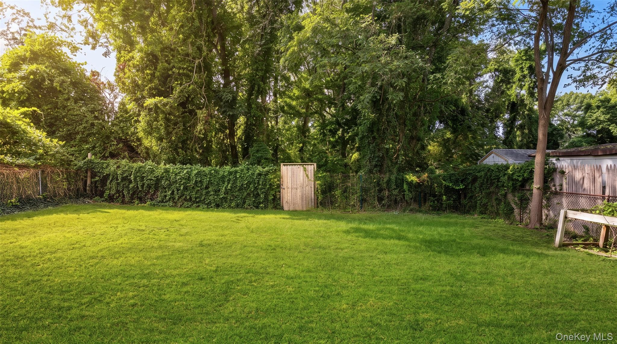 567 Boxwood Drive thumbnail 19