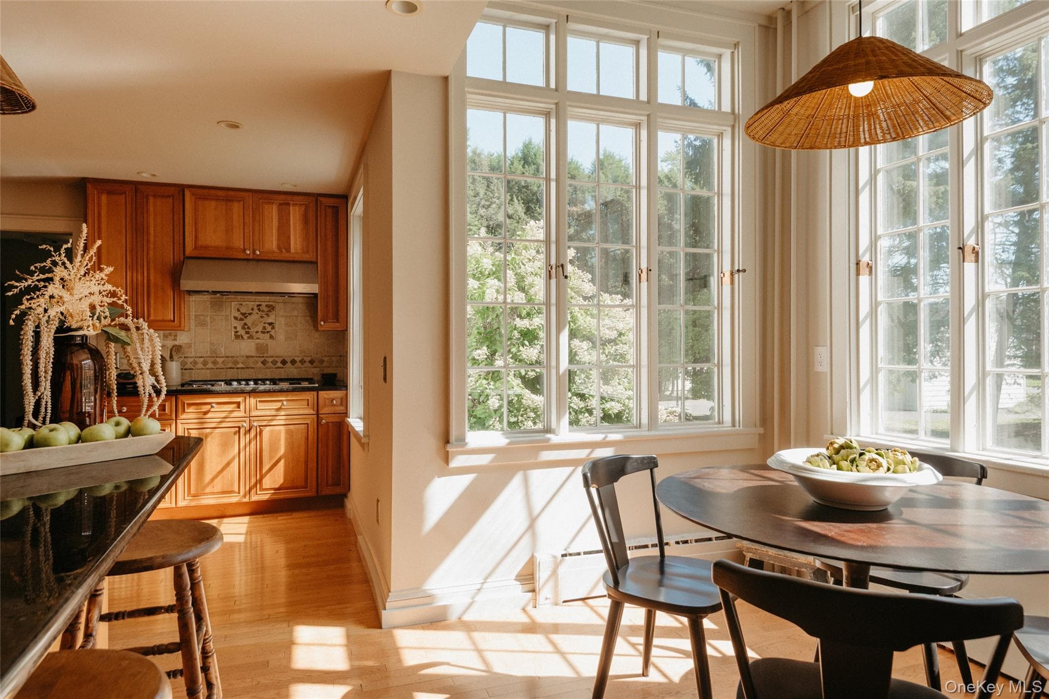 238 Wrentham Street thumbnail 15