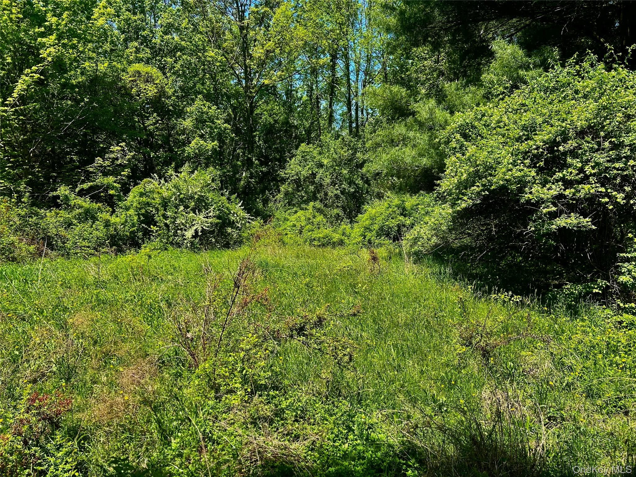 73 North Creek Road thumbnail 7