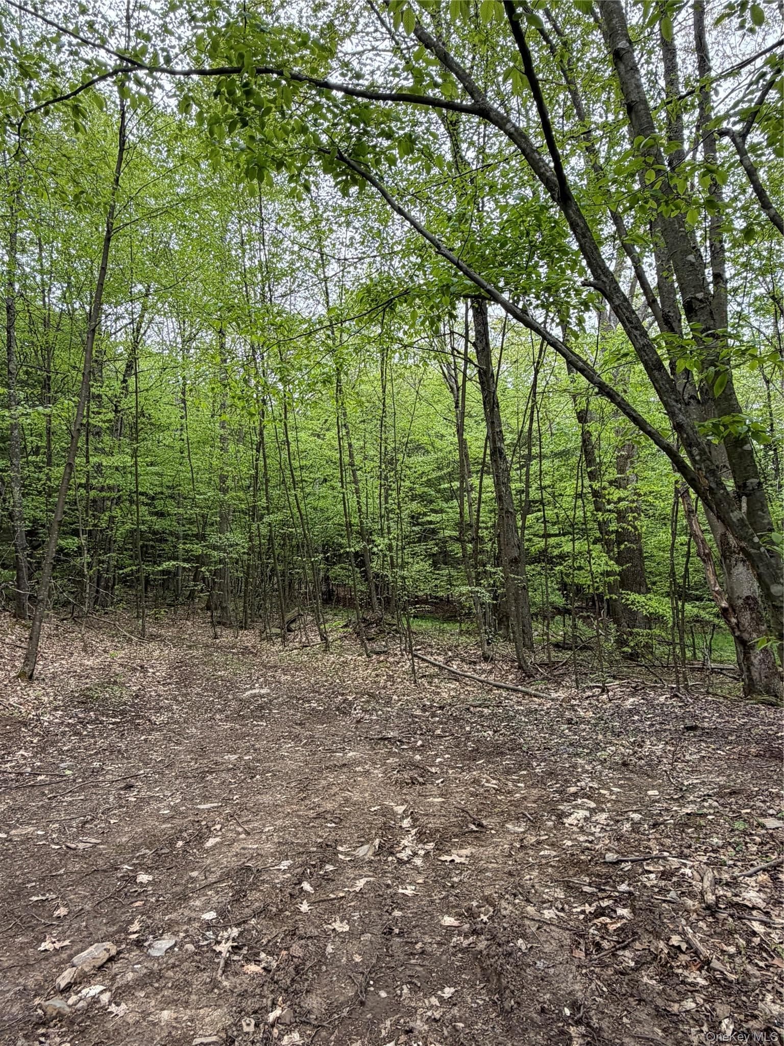 4912 County Highway 26 thumbnail 2