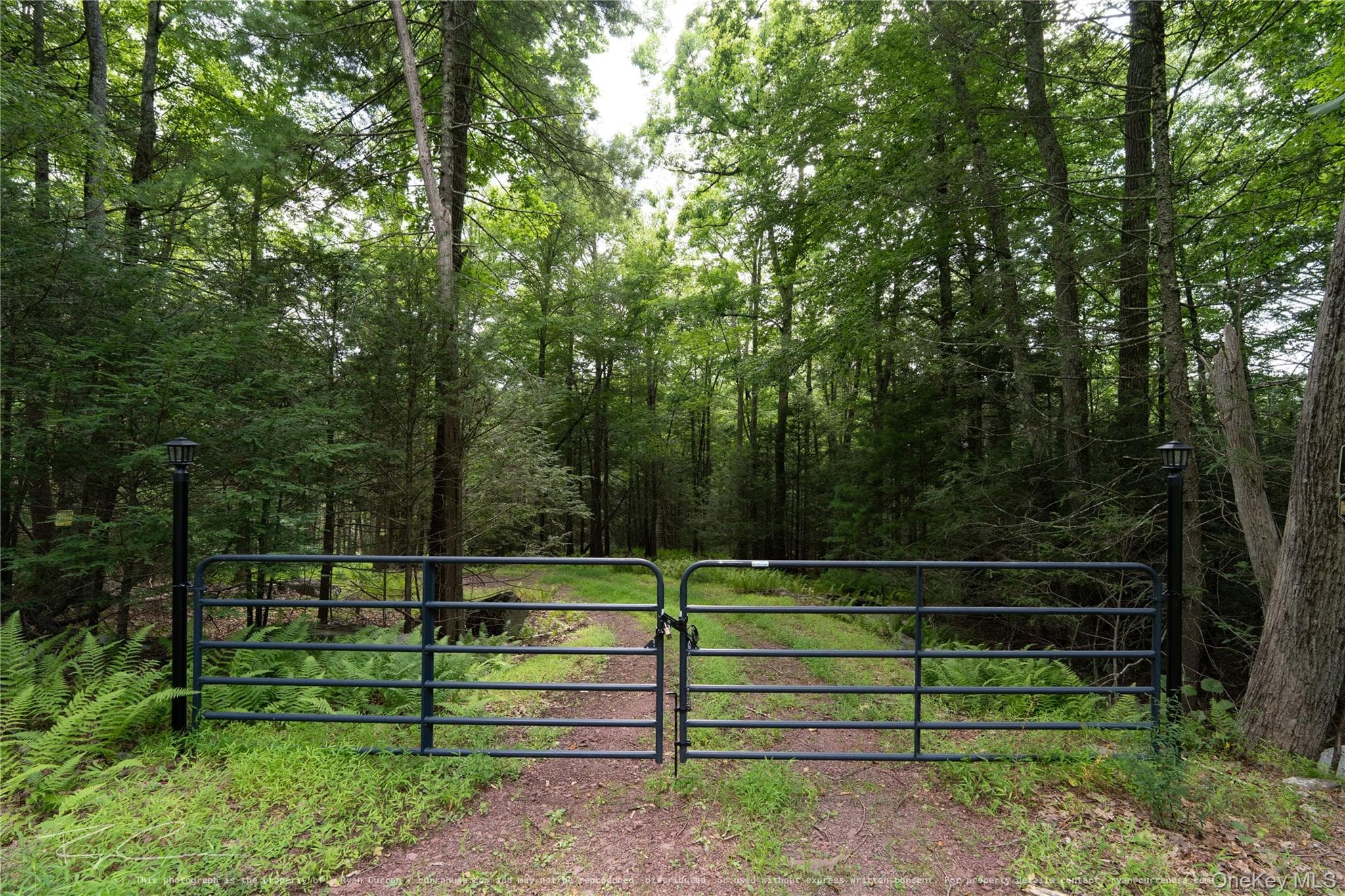 Old Plank Road thumbnail 13