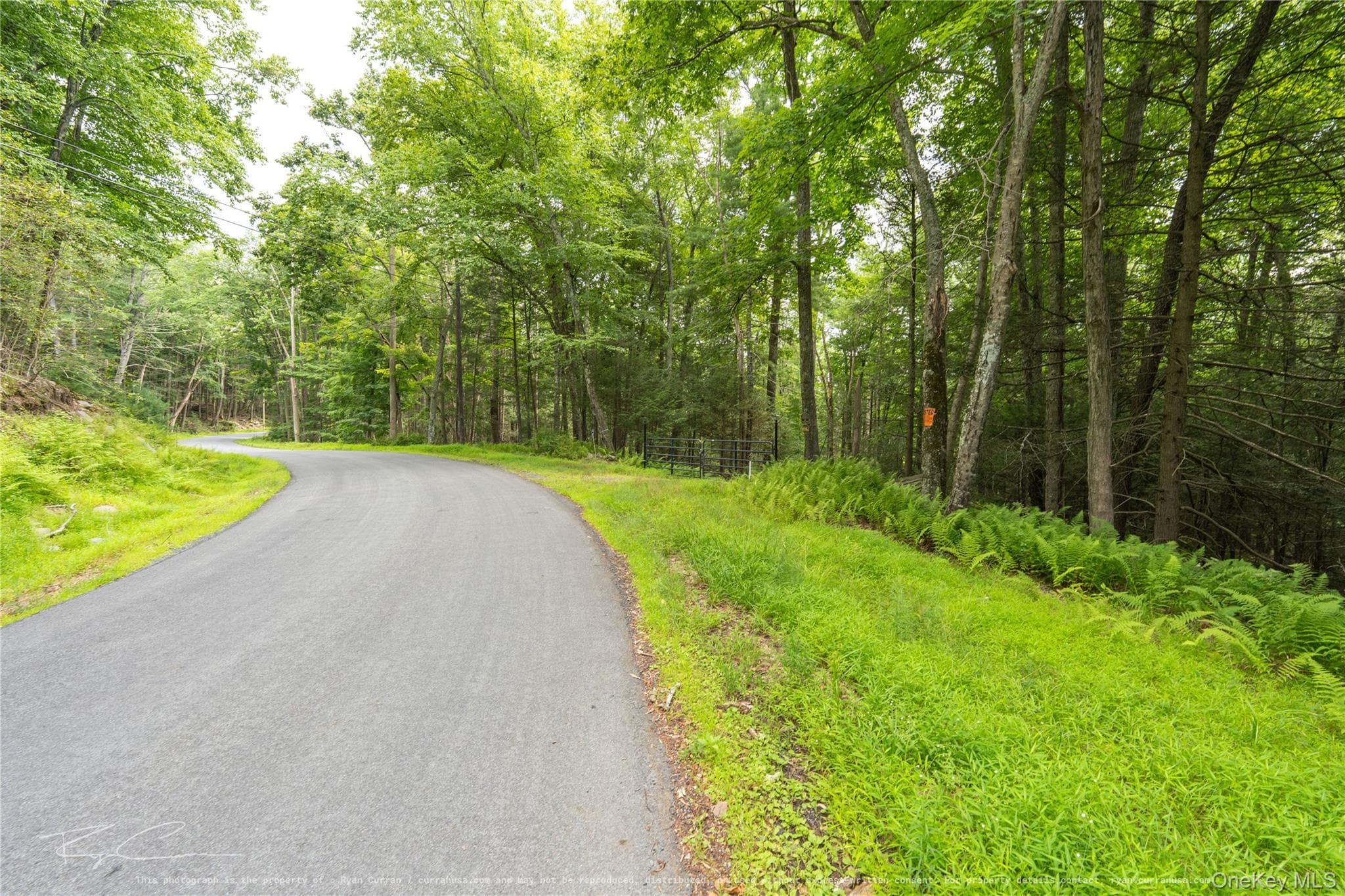 Old Plank Road thumbnail 12
