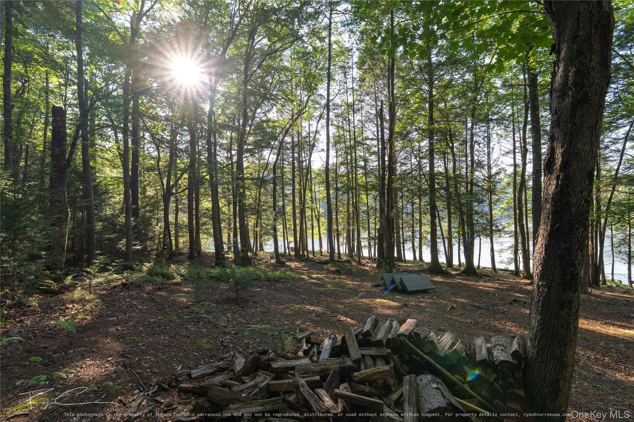Old Plank Road thumbnail 28