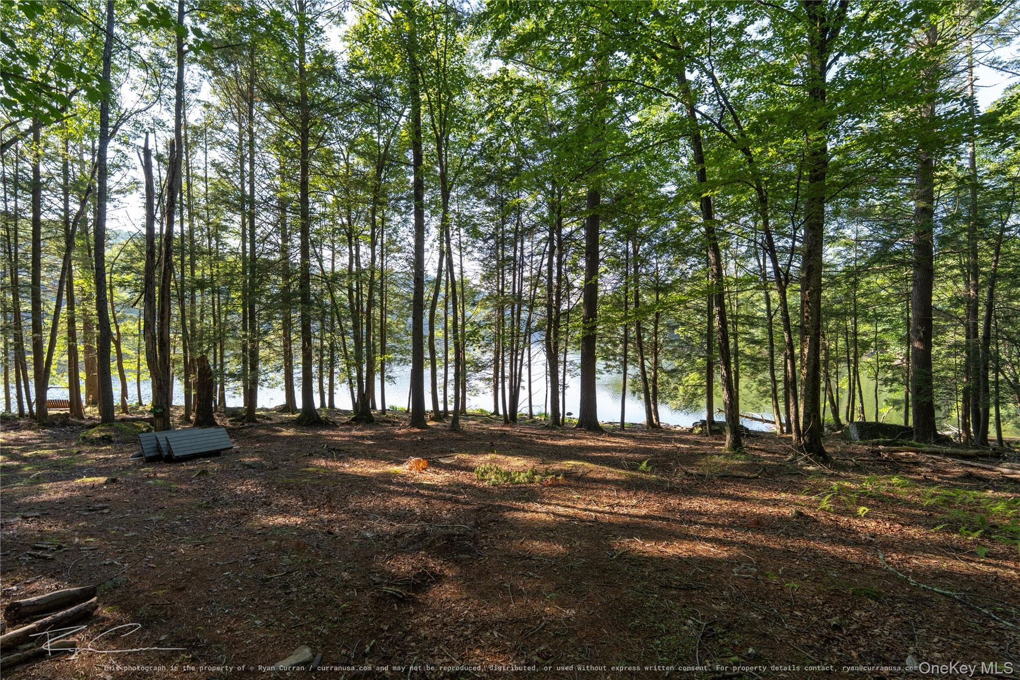 Old Plank Road thumbnail 27