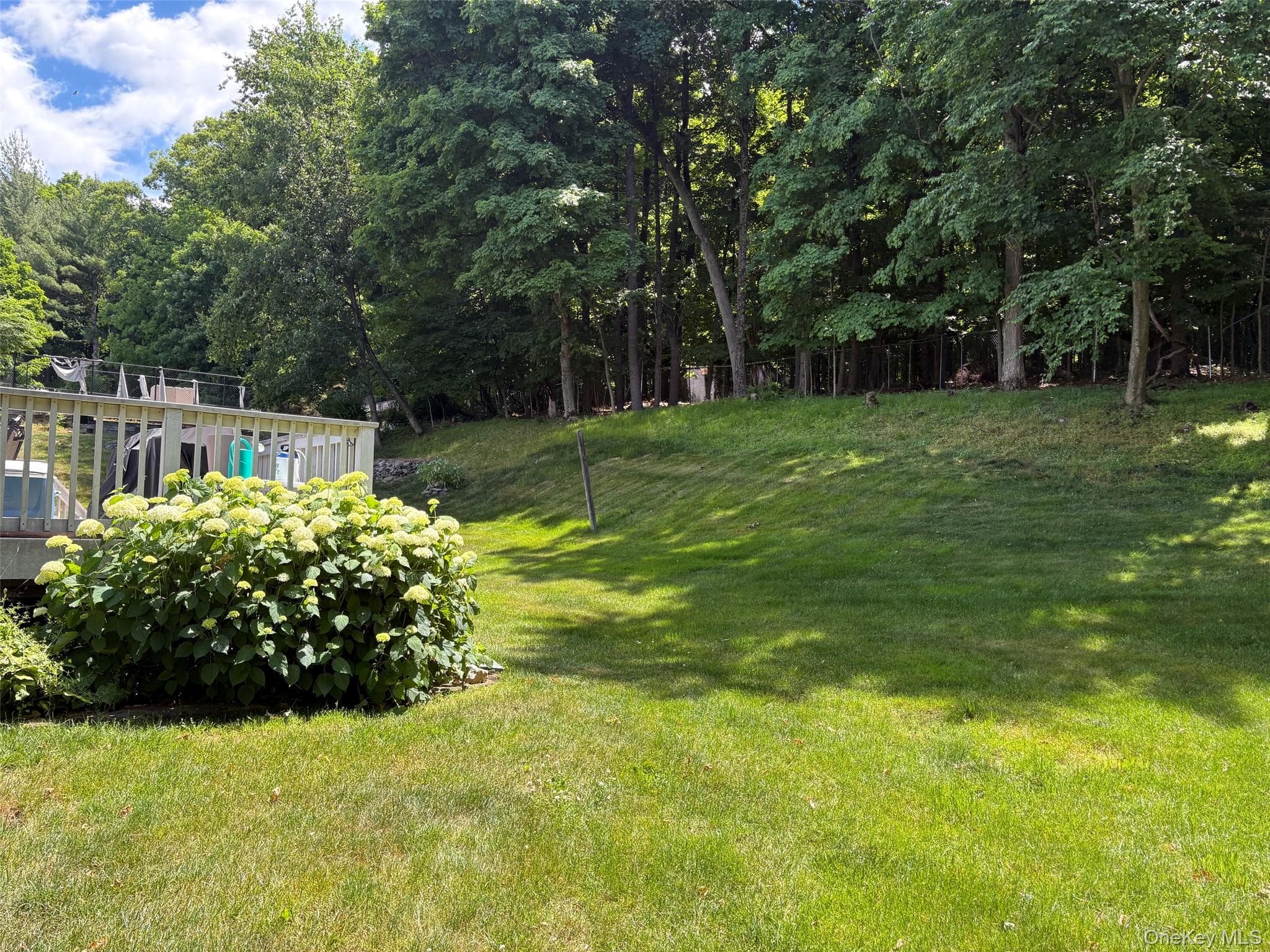 12 Arlington Drive thumbnail 5