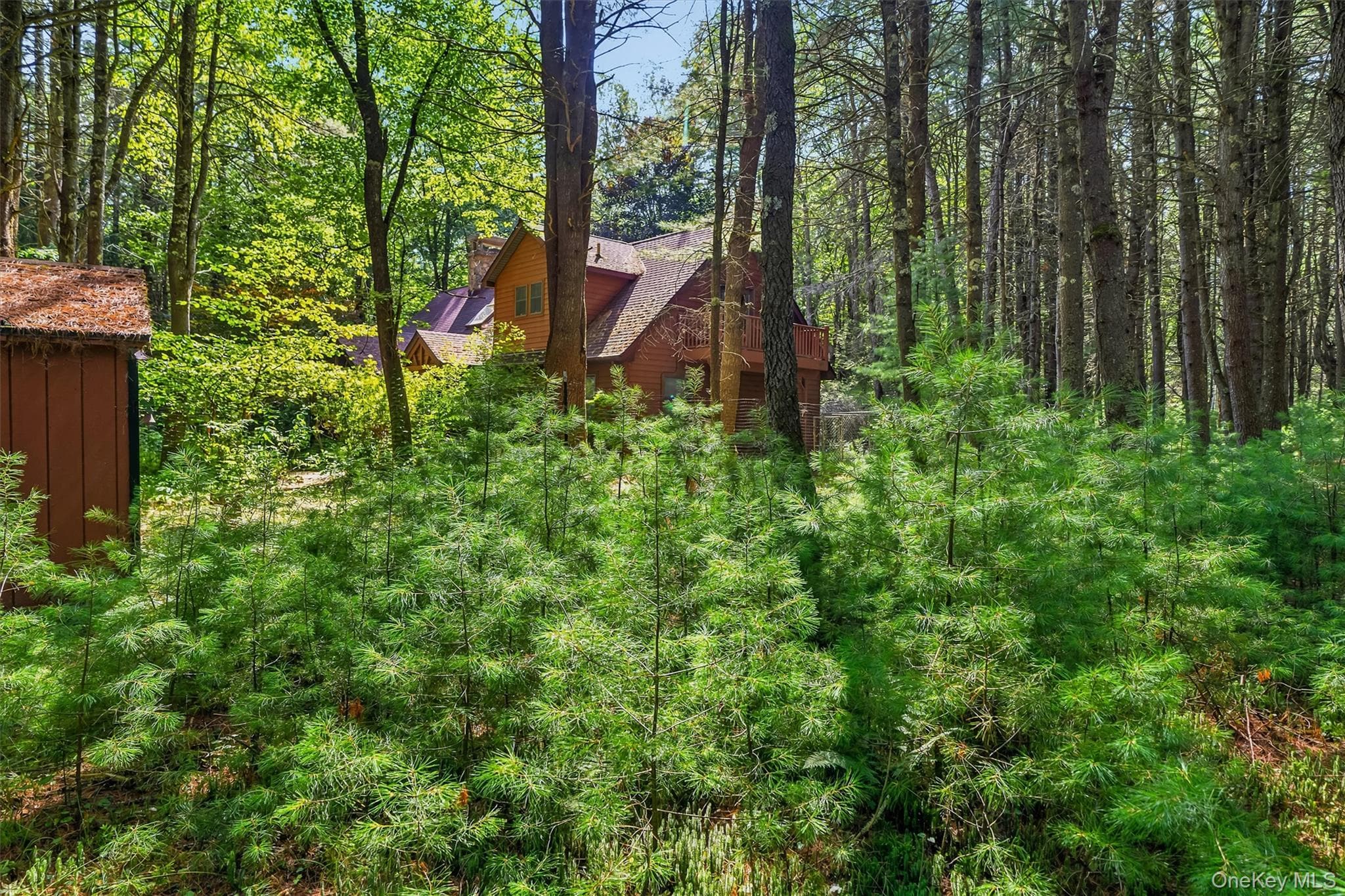 111 Deer Meadow Road thumbnail 5