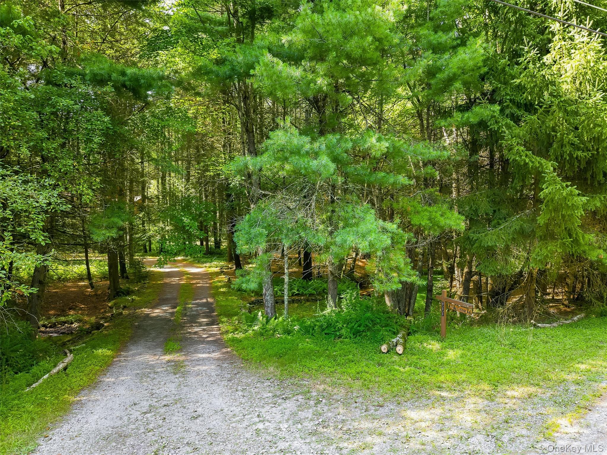 111 Deer Meadow Road thumbnail 2