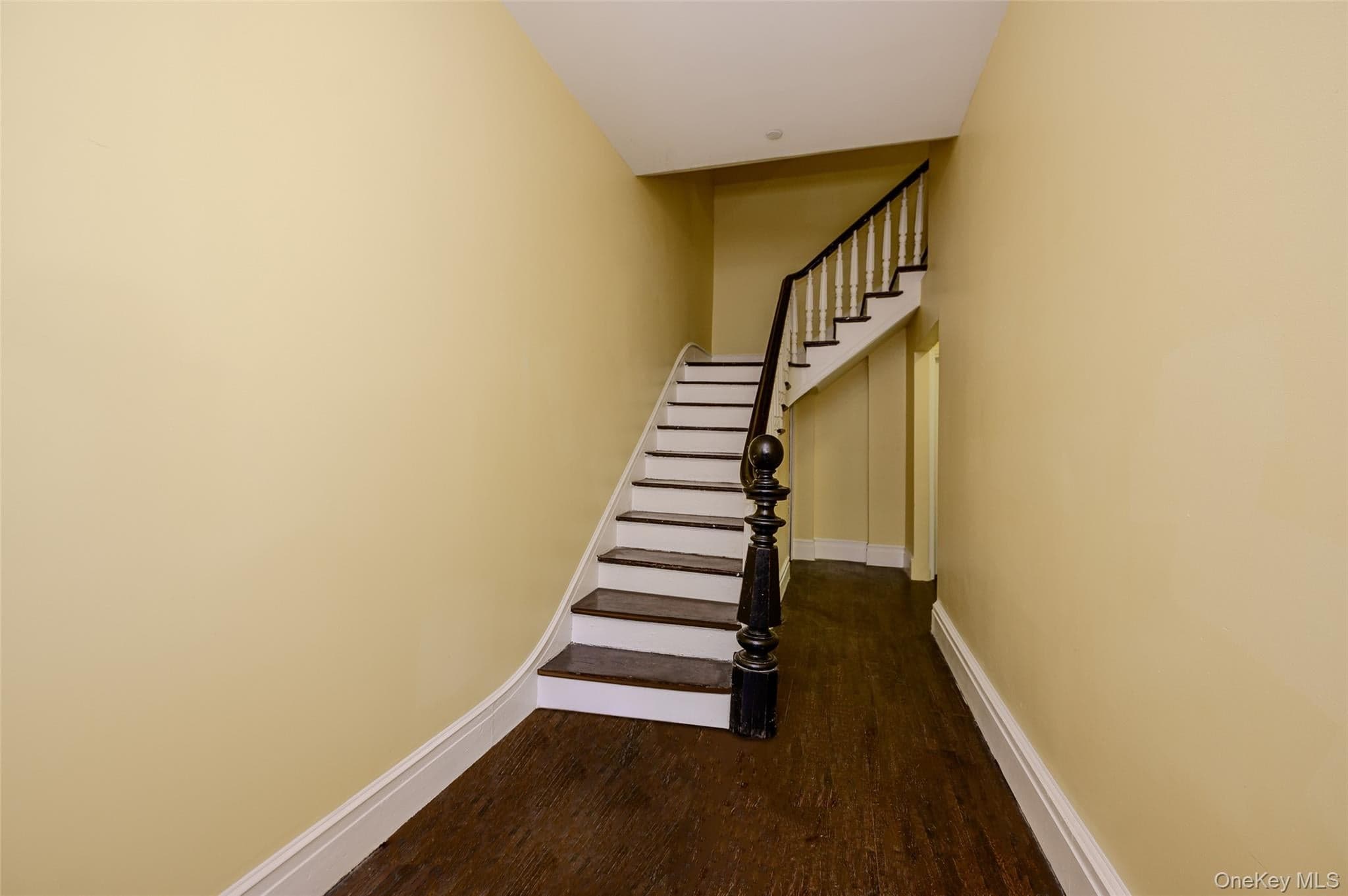 439 E 143 Street thumbnail 4