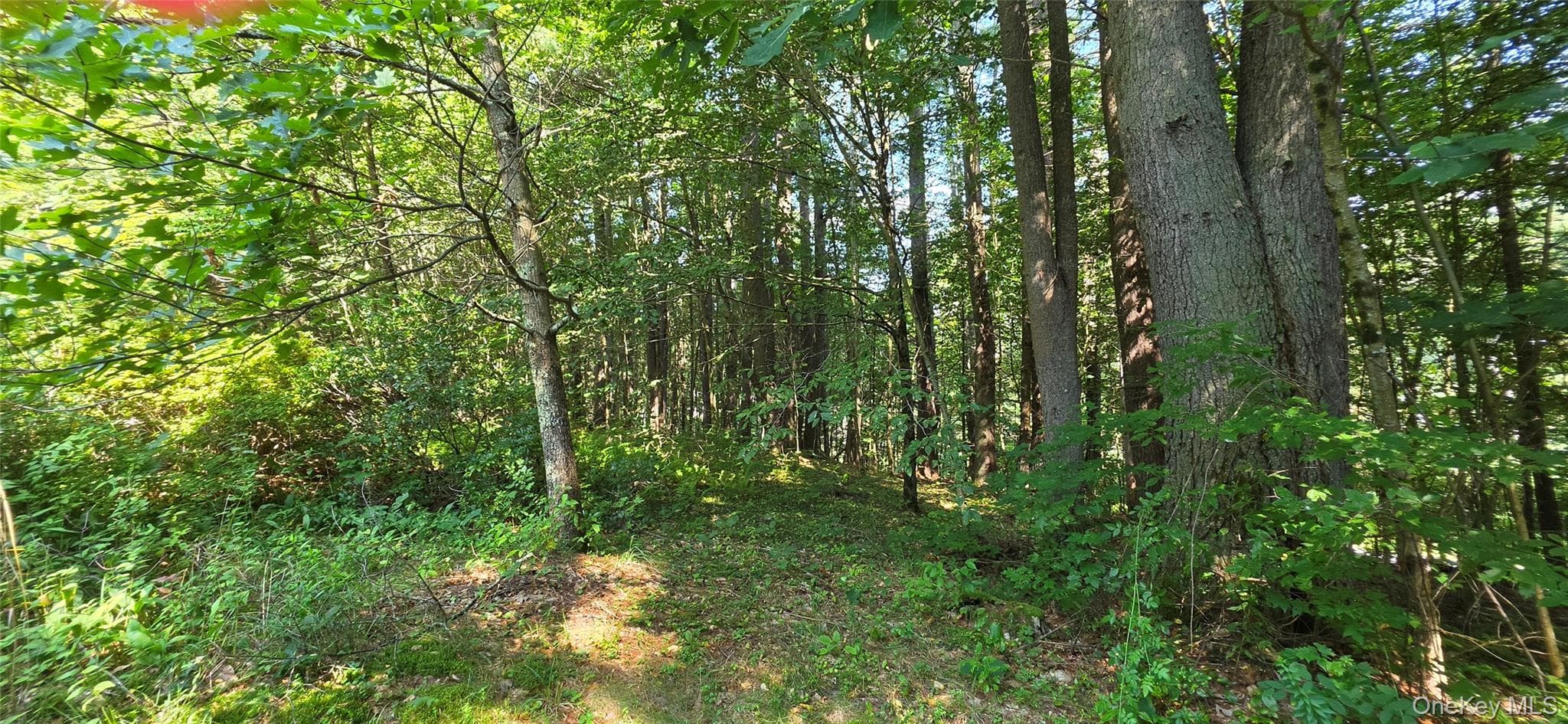 Lot 6 Nys 52 RD thumbnail 2