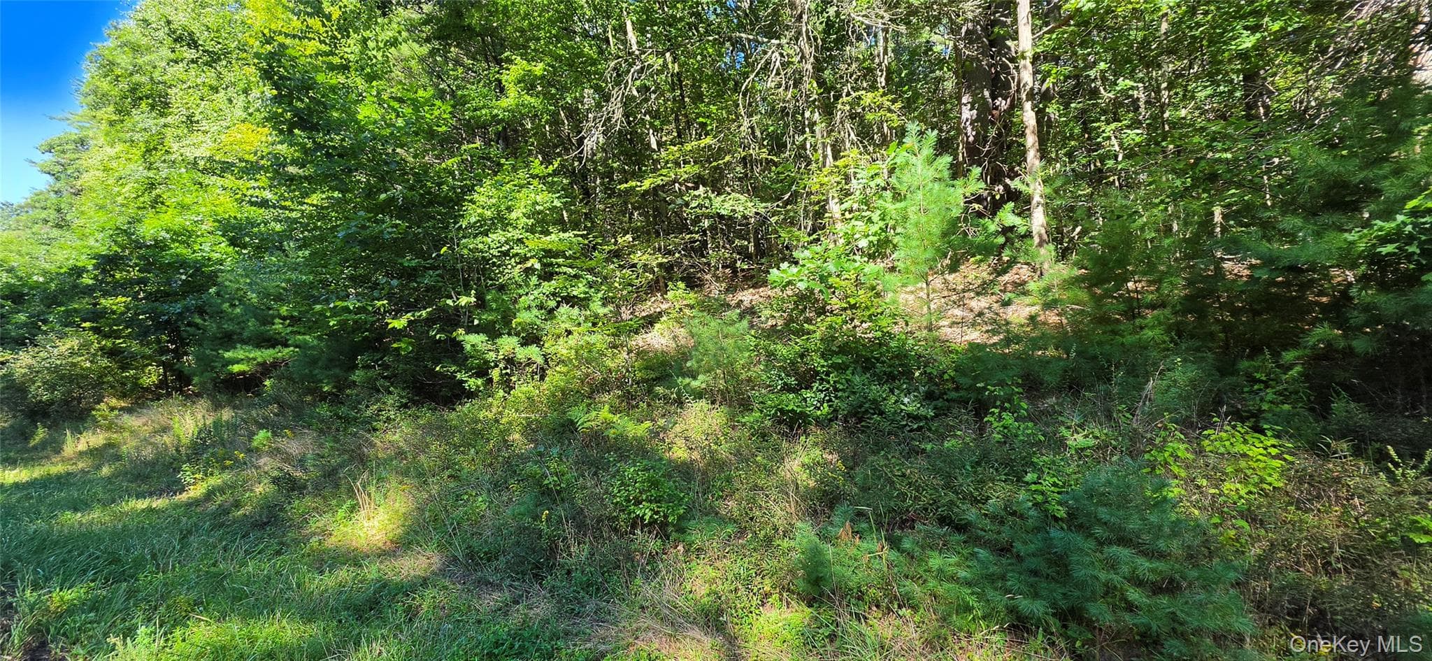 Lot 6 Nys 52 RD thumbnail 9