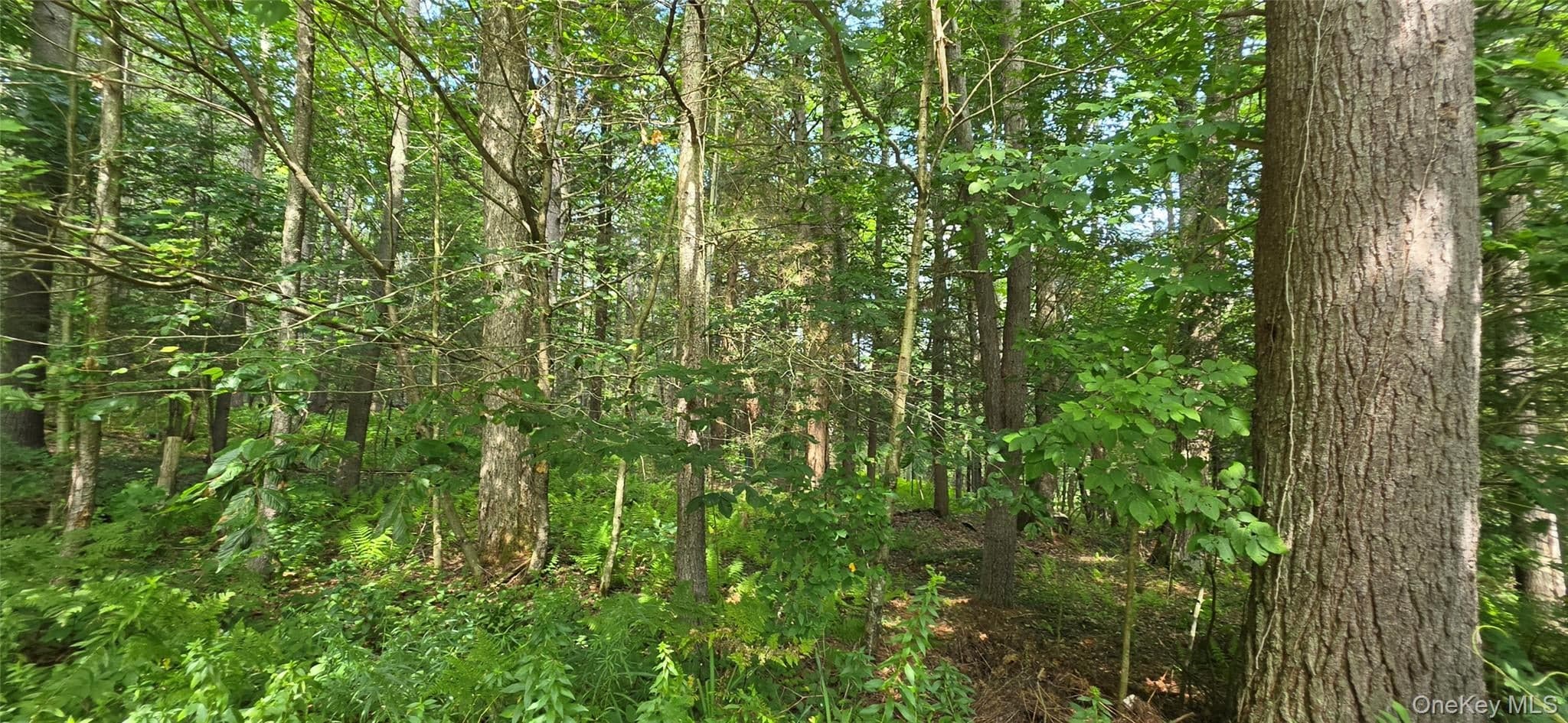 Lot 6 Nys 52 RD, Narrowsburg