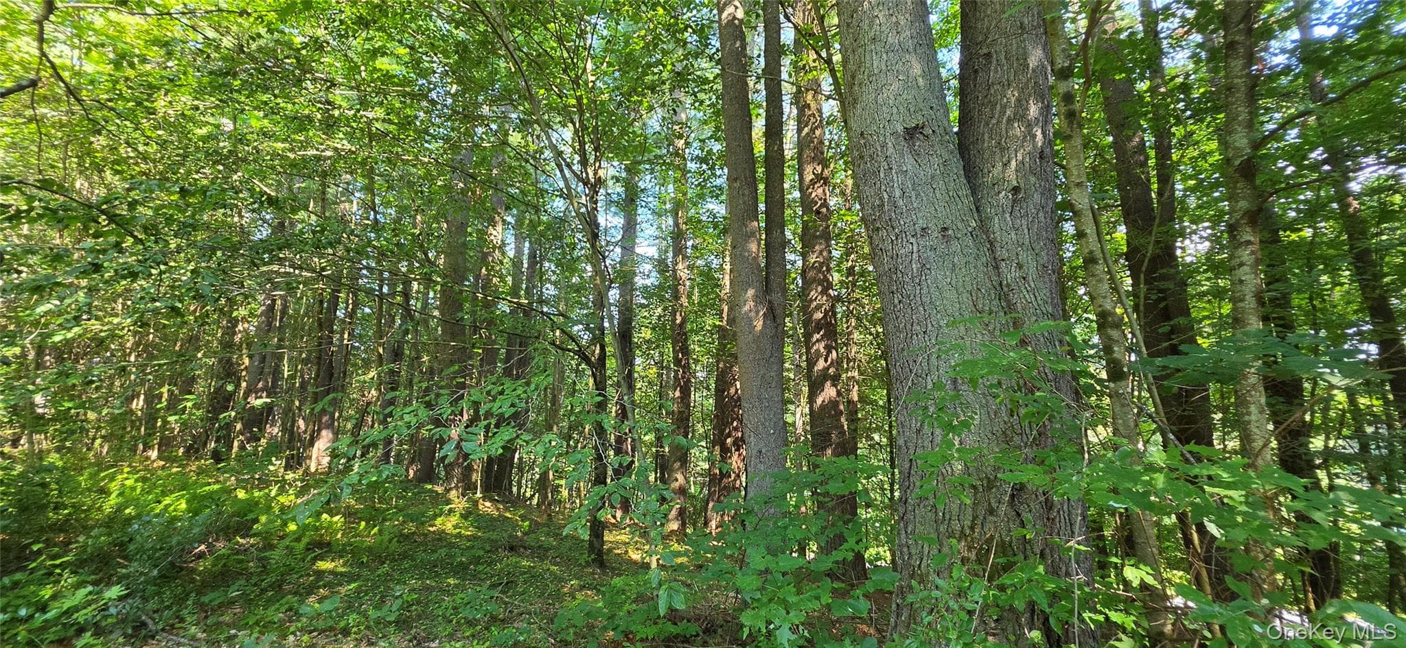 Lot 6 Nys 52 RD thumbnail 3