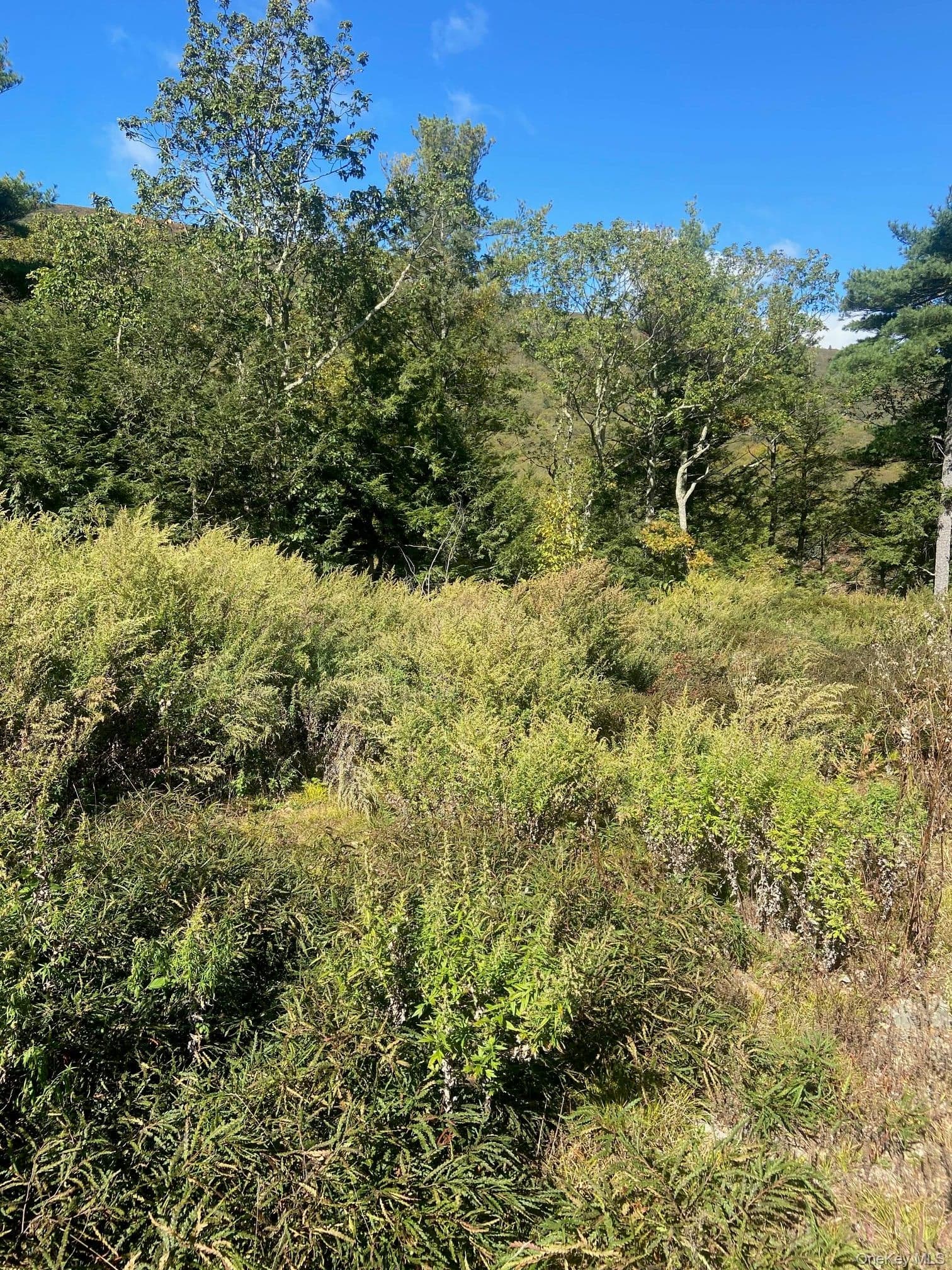 Tbd Manorville Road thumbnail 7