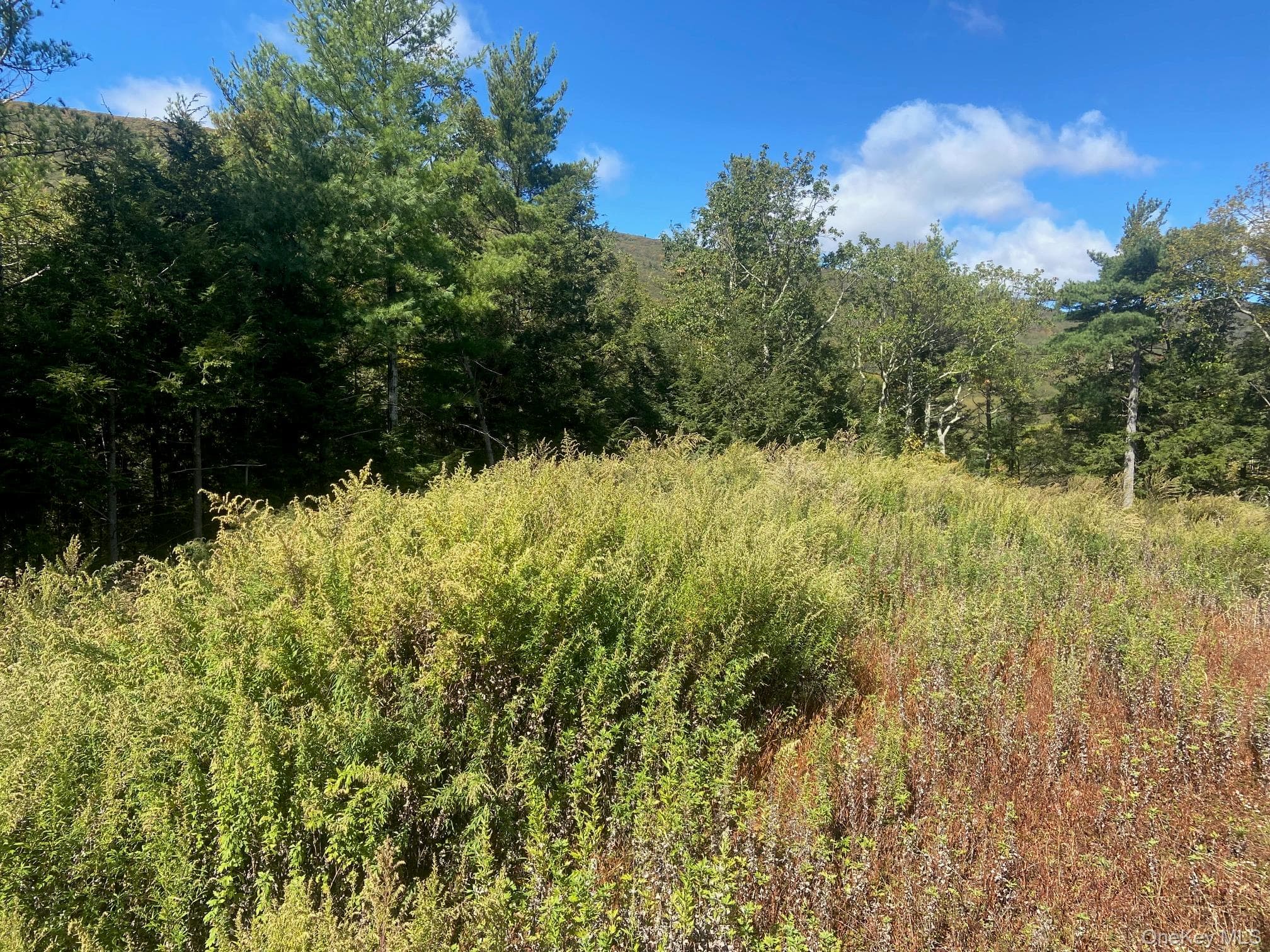 Tbd Manorville Road thumbnail 10