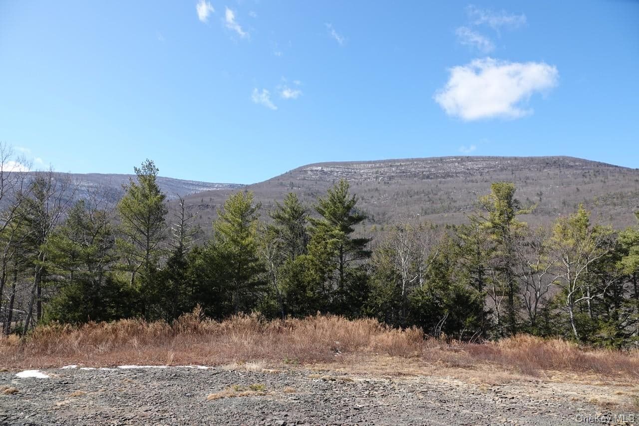 Tbd Manorville Road thumbnail 3