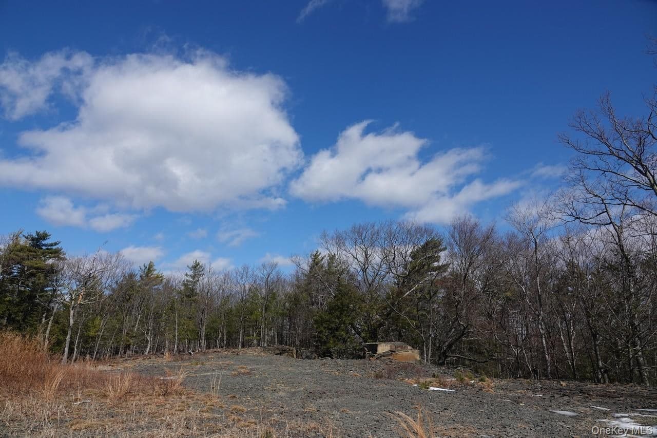 Tbd Manorville Road thumbnail 6