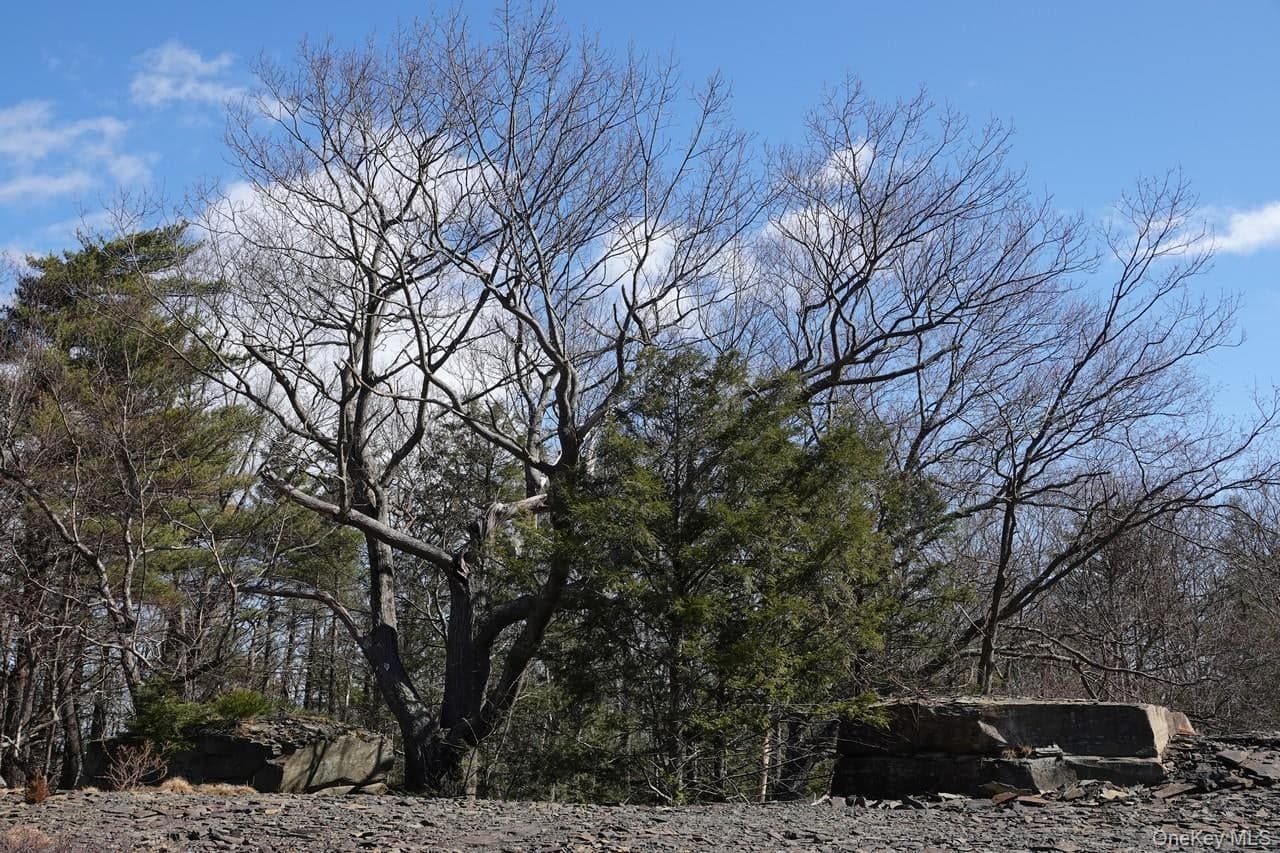 Tbd Manorville Road thumbnail 5