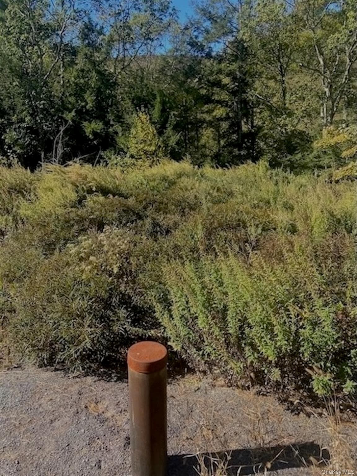 Tbd Manorville Road thumbnail 8