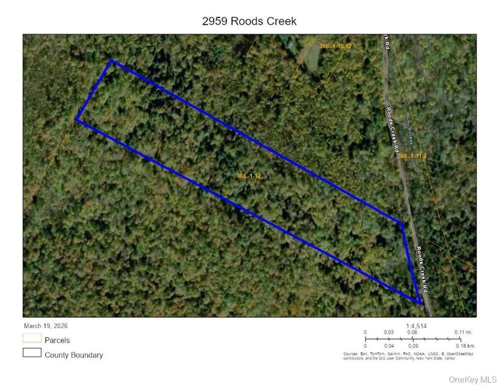 2959 Roods Creek Road photo 1