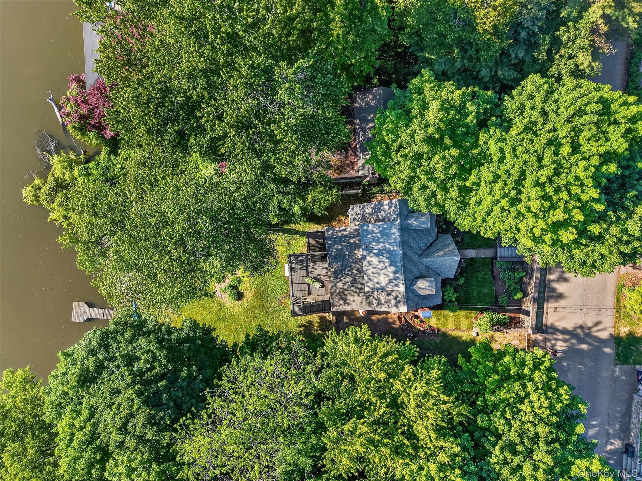 51 Lake Drive thumbnail 42
