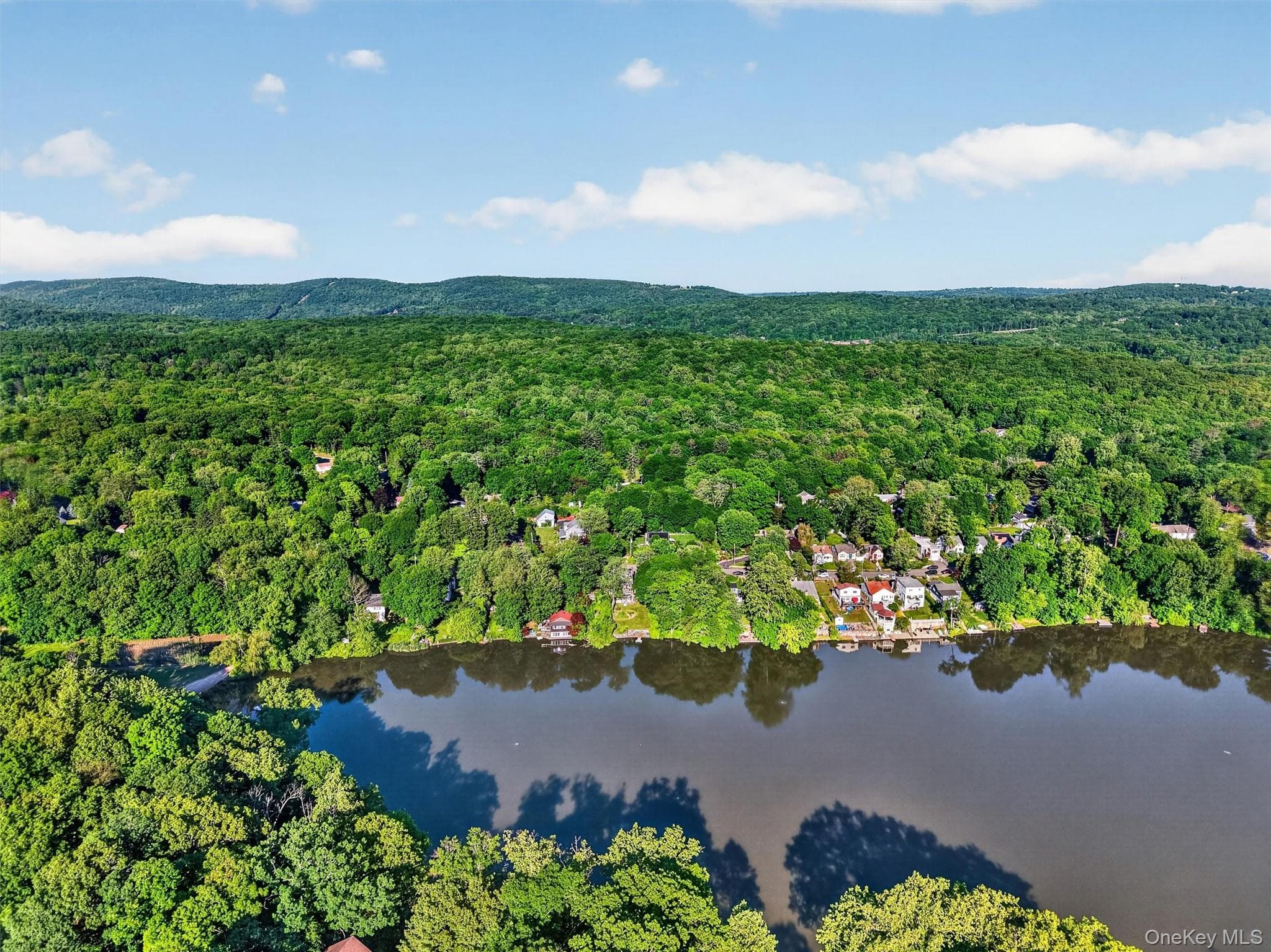 51 Lake Drive thumbnail 44