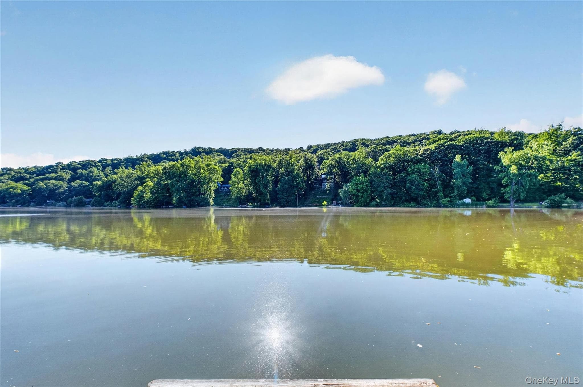 51 Lake Drive thumbnail 38