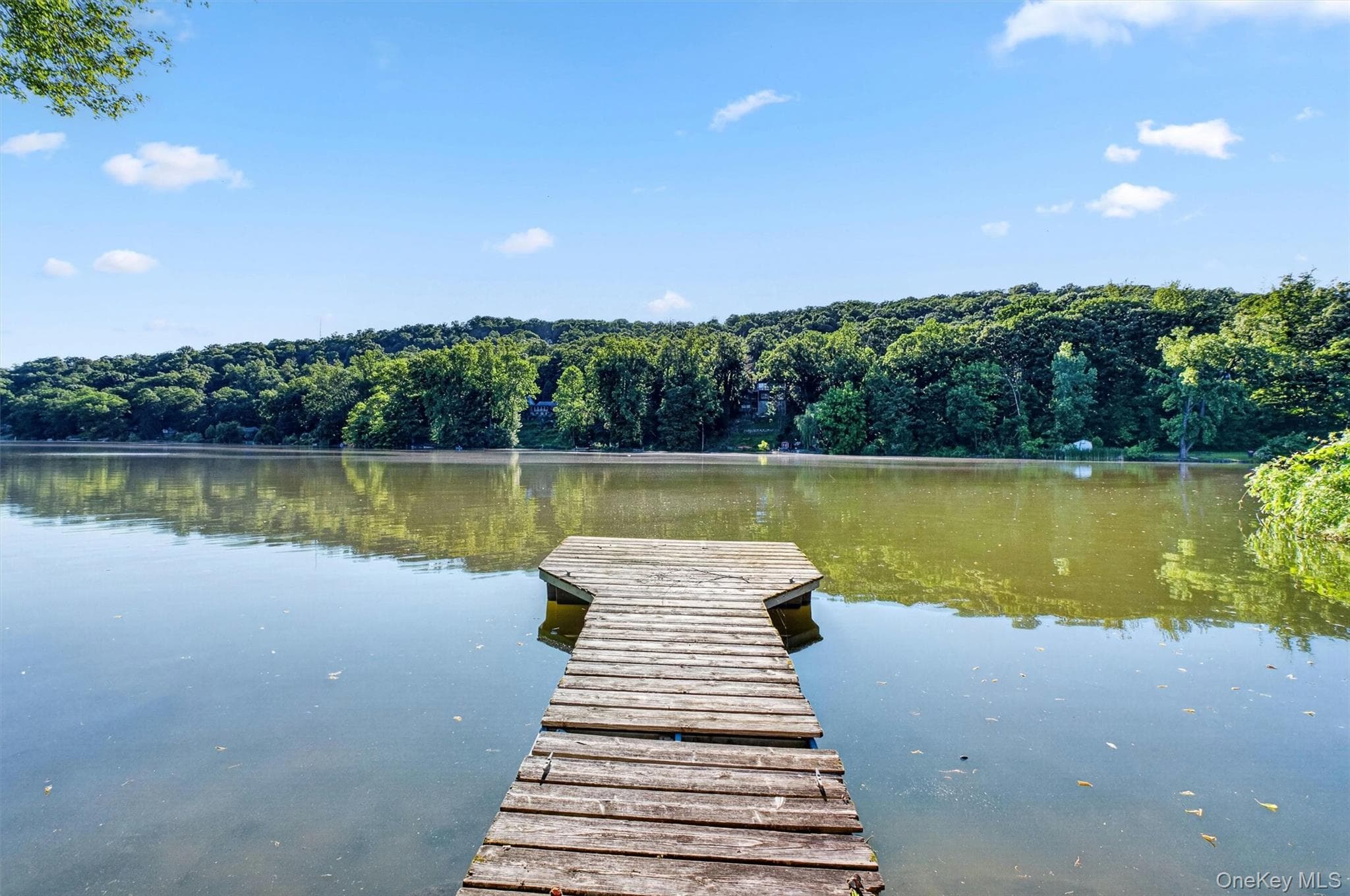 51 Lake Drive thumbnail 37